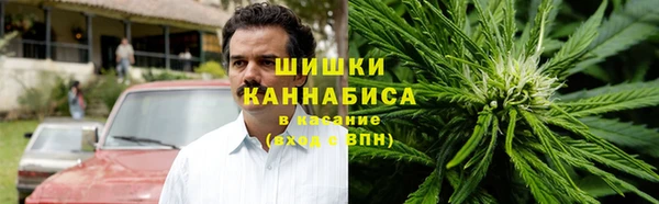 ECSTASY Бородино