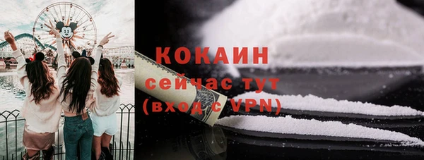 ECSTASY Бородино
