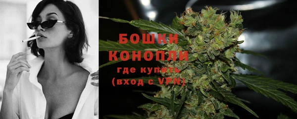 ECSTASY Бородино