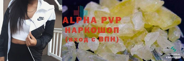 ECSTASY Бородино