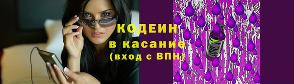 ECSTASY Бородино
