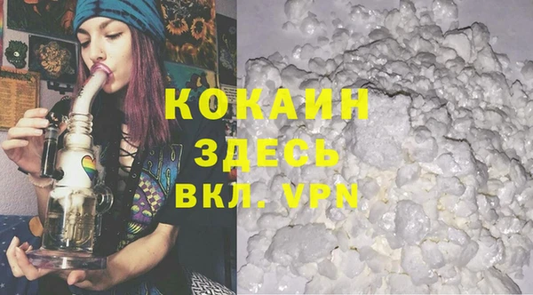 ECSTASY Бородино
