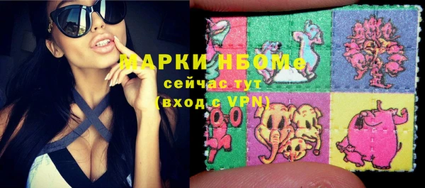 ECSTASY Бородино