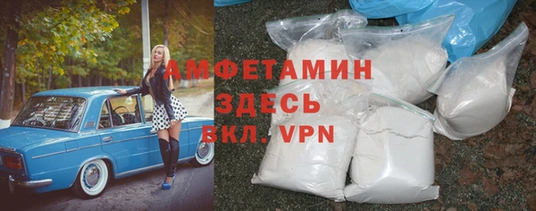 ECSTASY Бородино