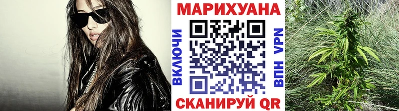 Канабис семена  Тбилисская 